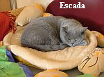 Escada am 11.2.08