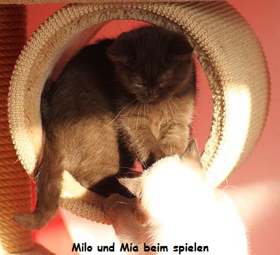 Marla spielt