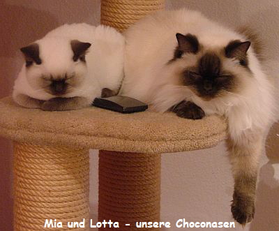 Mia und Lotta