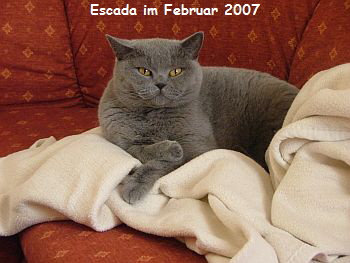 escada_februar_2007_seite