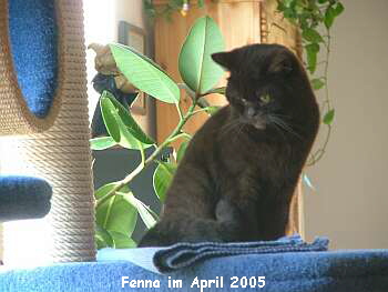 Fenna im April 2005