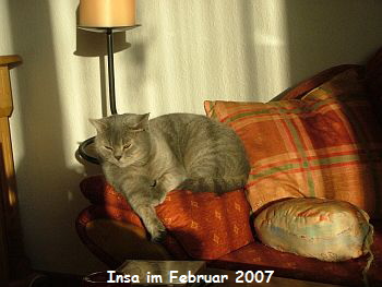 insa_februar_2007_seite