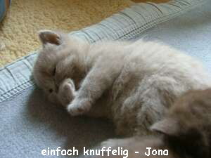 einfach knuffelig - Jona