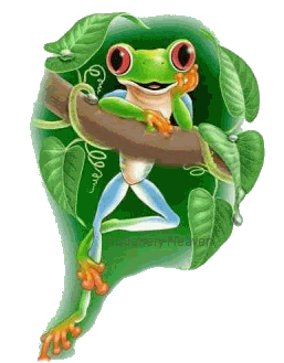 frosch1_gro